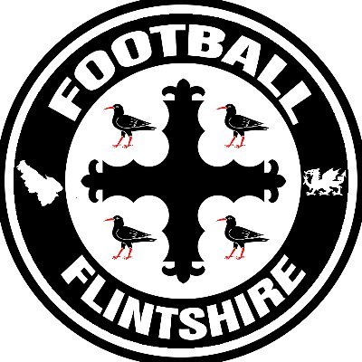 Exploring football in the northeastern Welsh county of #Flintshire

Part of the @The94thMin family.