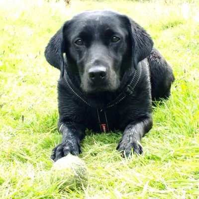 mollymoo219's profile picture. 