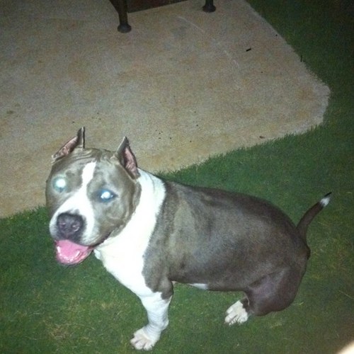 wimpeezy's profile picture. 