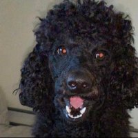 MINI (@mini_4269) 's Twitter Profile