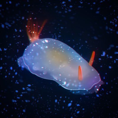 uniushi_'s profile picture. 異形