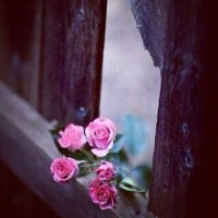 ﺳﺑﯾﻋﯾھَہّ ہ جوج ..♡ (@jo0d20) 's Twitter Profile