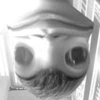 parlemoneystp (@joeagainnagain) 's Twitter Profile