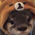scxze (@scxzey) Twitter profile photo scxze (@scxzey) Twitter profile photo