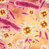 Yale Center for Infection and Immunity (@yalecii) 's Twitter Profile