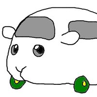 らゆ (@ohara_oppara) 's Twitter Profile Photo