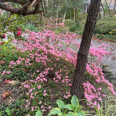 Dani90612683's profile picture. 