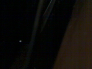 thetexasfan's profile picture. 