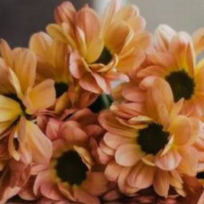 K_Jaswanth3's profile picture. data science student