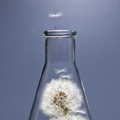 brokenPIDS's profile picture. 