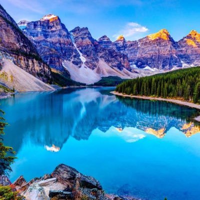 6P5wVEg1Pvzh7GV's profile picture. وطن