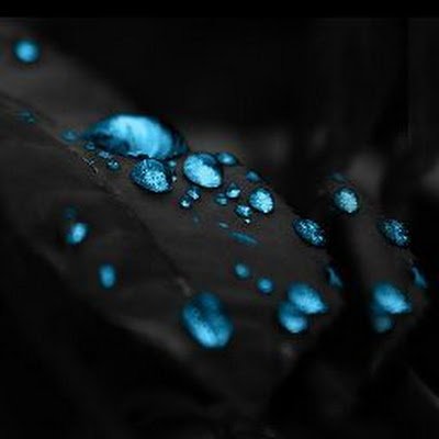 Jishnushaji62's profile picture. 