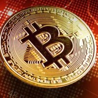 Crypto Consultant LLC (@crypto_llc) 's Twitter Profile Photo Crypto Consultant LLC (@crypto_llc) 's Twitter Profile Photo