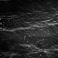 DominicSmith (@dominicsmith) 's Twitter Profile