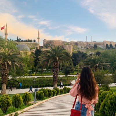 melekkolcr's profile picture. 