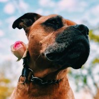 Նար 🇦🇲 (@narlevoni) 's Twitter Profile Photo