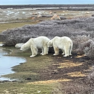 jrj60's profile picture. 