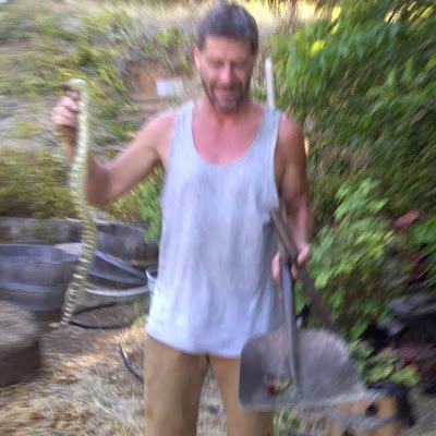 TomGriffis1's profile picture. 