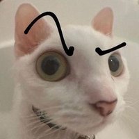 Darrah Strong (@darrahstrong) 's Twitter Profile