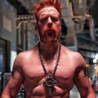 The Celtic Warrior - NOT @WWESheamus (@ceiticdestroyer) 's Twitter Profile