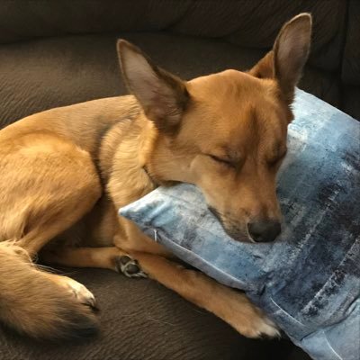 Erratictv001's profile picture. Hey, how ya doing? Hope you enjoy my content. Laugh and share. So we can share the laughter lol