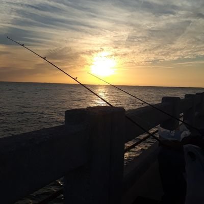 gaoldcountryboy's profile picture. 