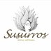 Mezcal Susurros (@fabivilla0708) Twitter profile photo Mezcal Susurros (@fabivilla0708) Twitter profile photo