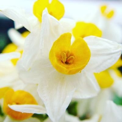 nawzad_omar6's profile picture. 