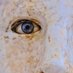 My Account Of This πΊπΈ (@myaccountofthis) Twitter profile photo My Account Of This πΊπΈ (@myaccountofthis) Twitter profile photo