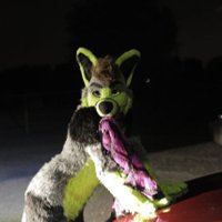 Wolf dad Rico (@rico_puppeh) 's Twitter Profile