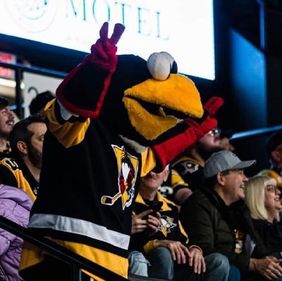 Mascot for the Wilkes-Barre/Scranton Penguins, AHL Affiliate of the Pittsburgh Penguins