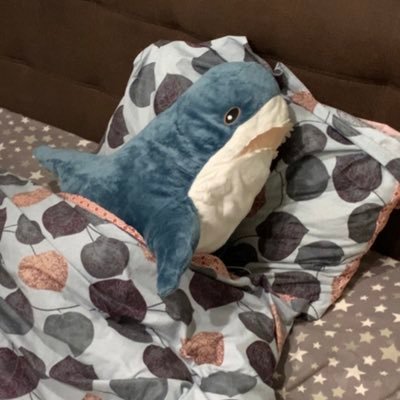 testisquitcc2's profile picture. Аналітична перестановка речей, направлена на виправлення мусорожиття.