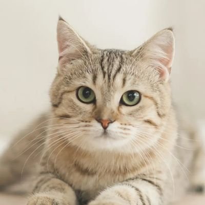 reembadboy's profile picture. ungkap keseharian