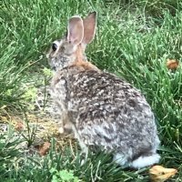 Sam Maloney (@typicaltweets21) 's Twitter Profile