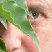 Ngunnawally's profile picture. Retired but loves Canberra. Enjoys politics so long as there isn't a footy match on somewhere. Follows St Kilda, the Raiders, Roar and tornadoes!