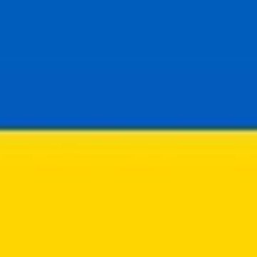 Georgia stands with Ukraine. 🇬🇪 🇺🇦