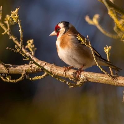 MOHT67's profile picture. 