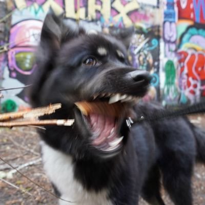 dvaneson_'s profile picture. 