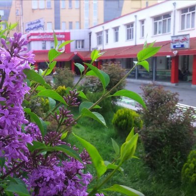 Nikoukari_webda's profile picture. مرکز آموزشی درمانی چشم پزشکی نیکوکاری تبریز
Nikoukari hospital