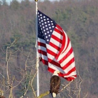 Husband,Father,PaPa,Brother America 1st🇺🇸🇺🇸🇺🇸🇺🇸🇺🇸 land of the free because of the brave. 🚫DMs unless I know you!