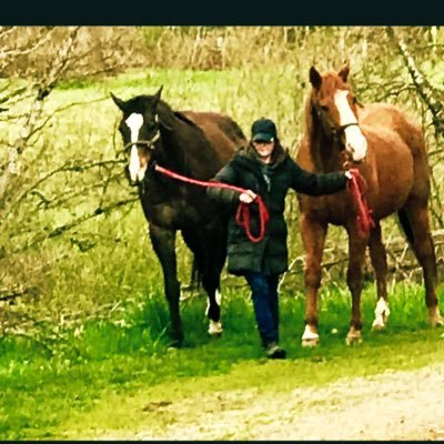 Mom, train racehorses with my husband at Hastings racecourse.