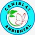 🌱CaniBlas Ambiental (@medioblas) Twitter profile photo 🌱CaniBlas Ambiental (@medioblas) Twitter profile photo