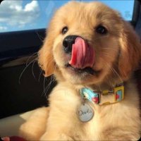 Bleyz (@bleyzftn) 's Twitter Profile