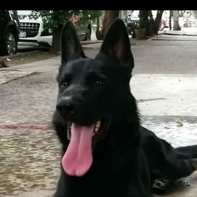 MAGU69's profile picture. 