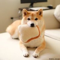 すぁま (@zfvqw) 's Twitter Profile