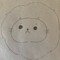 アビ (@ja2rik) 's Twitter Profile