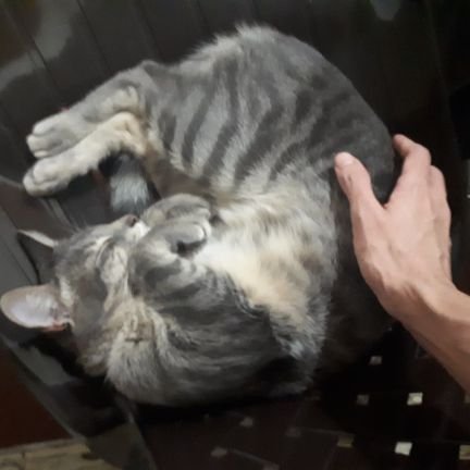 ThisisUriiguess's profile picture. He/Him. 20+
Alt acc.