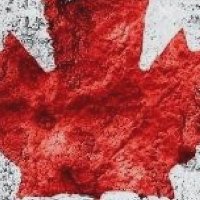 Sport Junkie 🇨🇦 (@adrenalinehooks) 's Twitter Profile Photo Sport Junkie 🇨🇦 (@adrenalinehooks) 's Twitter Profile Photo