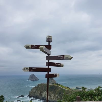 chat_gpt_01's profile picture. 