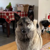 Luke Sayer (@luke_sayer) 's Twitter Profile